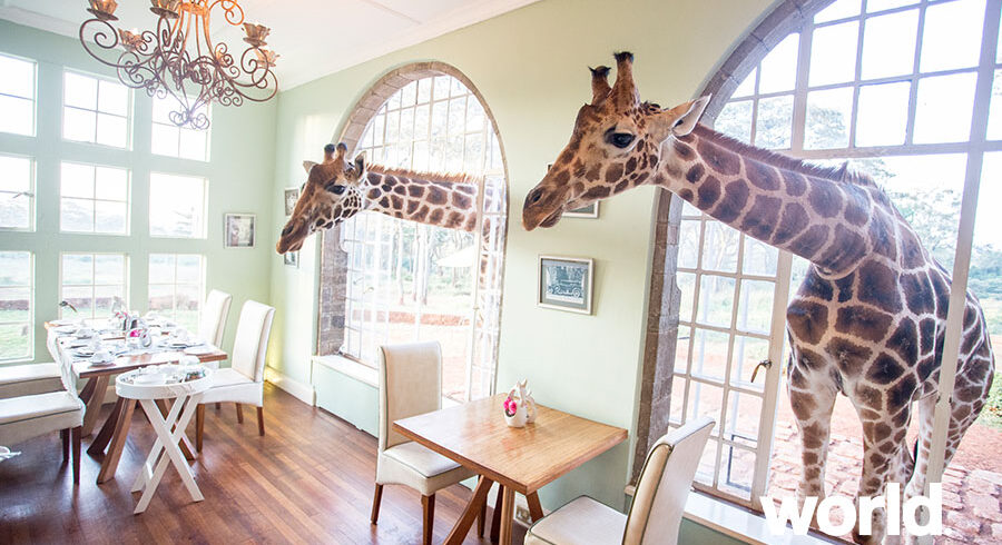 Giraffe Manor Samburu the Mara By World Journeys