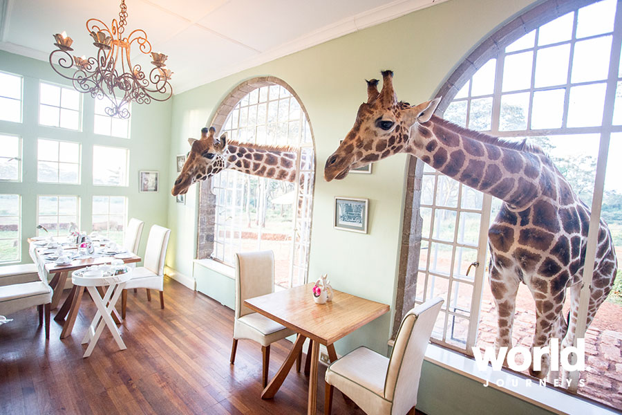 Giraffe Manor Samburu the Mara By World Journeys