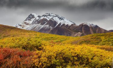 autumn, mountain, meadow