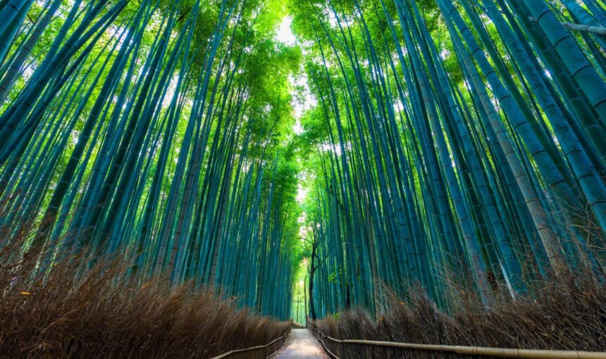 World Photo Day – The Most Instagrammable Spots on Every Continent