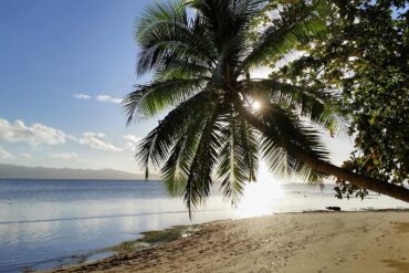 fiji, nature, of the fiji islands, beach, sun, clouds, palm tree, pacific, south seas, travel, island, paradise, fiji, fiji, fiji, fiji, fiji