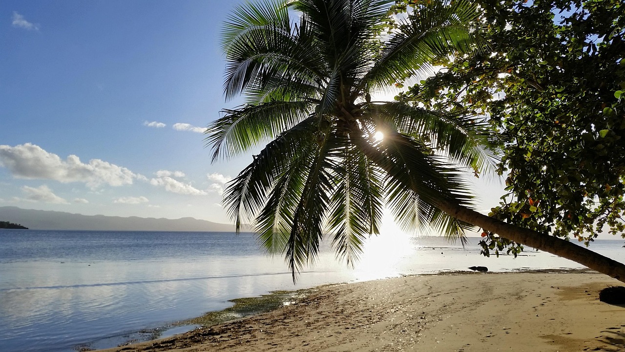 fiji-nature-of-the-fiji-islands-beach-sun-clouds-palm-tree-pacific-south-seas-travel-island-paradise-stockpack-pixabay - Best Travel and Cruise New Zealand fiji, nature, of the fiji islands, beach, sun, clouds, palm tree, pacific, south seas, travel, island, paradise, fiji, fiji, fiji, fiji, fiji