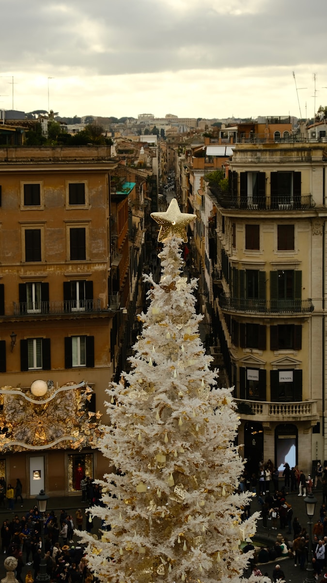 Photo by Denisa-Elena Ficau - Best Travel and Cruise New Zealand a large white christmas tree in the middle of a city