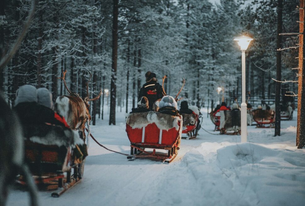 a group of horses pulling a carriage