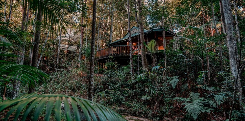 Narrows Rainforest Retreat