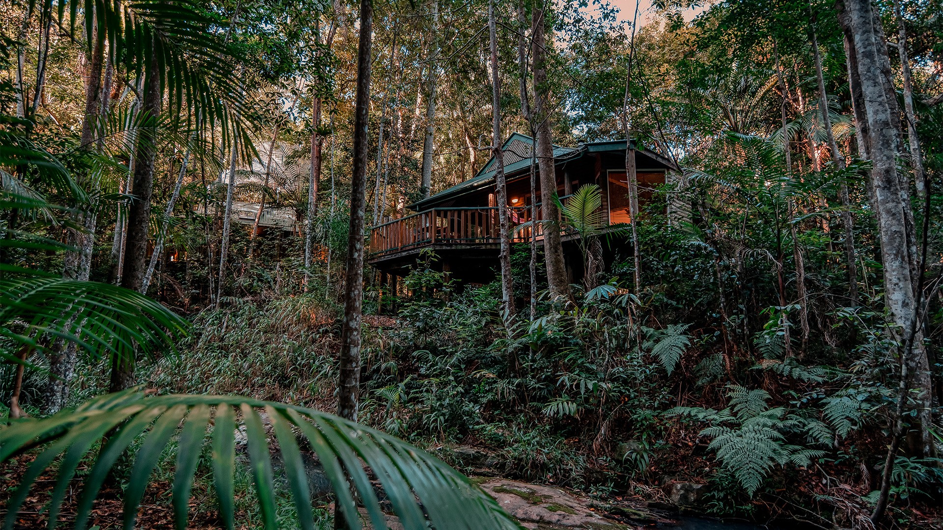 Narrows Rainforest Retreat