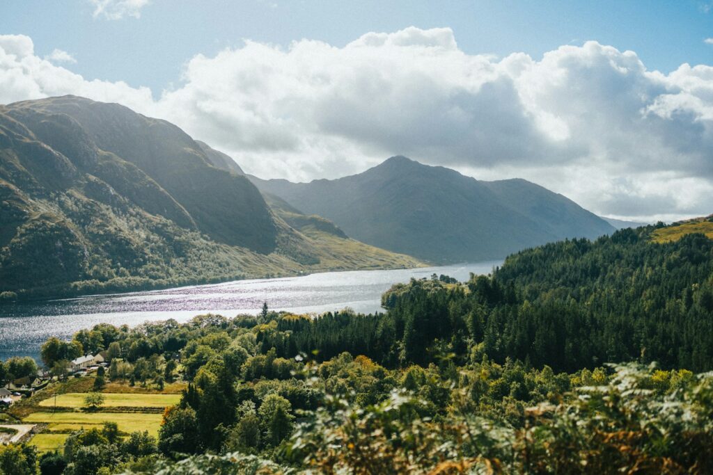 TranzAlpine – New Zealand