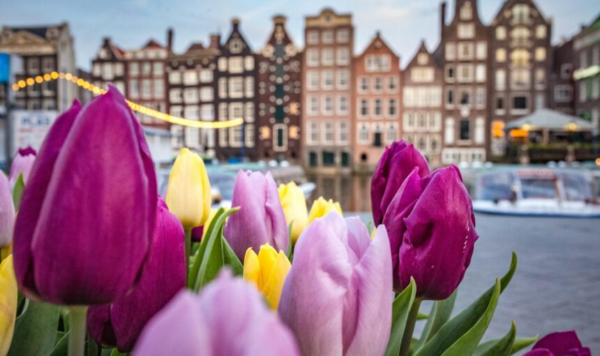Easter Escapes – Top 5 Destinations for a Springtime Getaway
