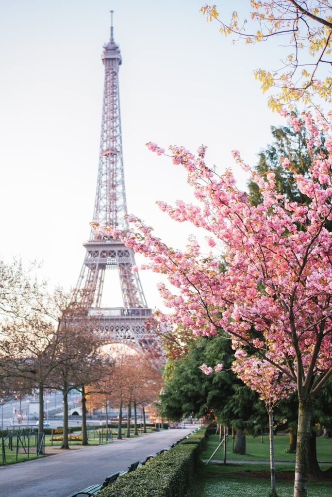 Photo by The Now Time - Best Travel and Cruise New Zealand the eiffel tower towering over the city of paris