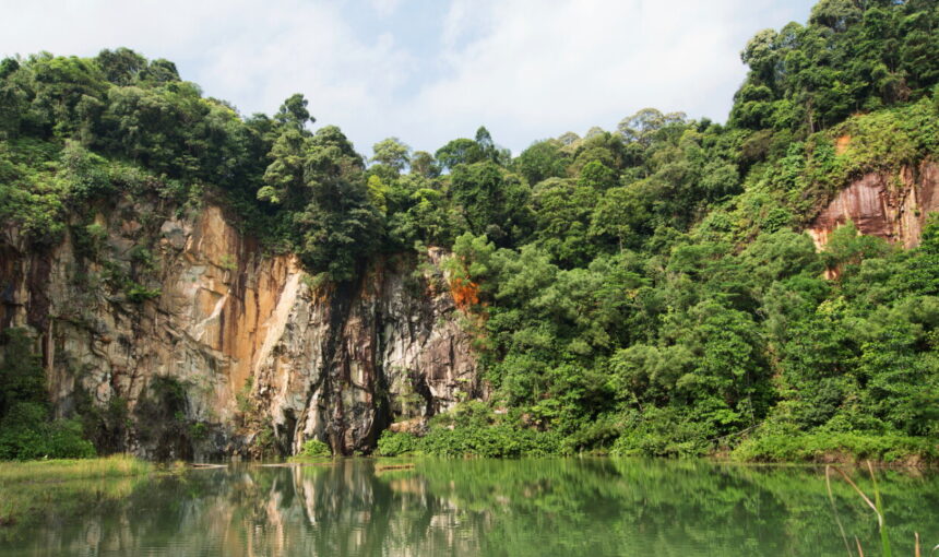 Conquer Singapore’s Highest Hill – A Day Out at Bukit Timah