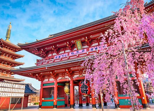 Japan Discovery with Viking
