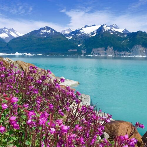 Alaska Fjords & Inside Passage with Viking