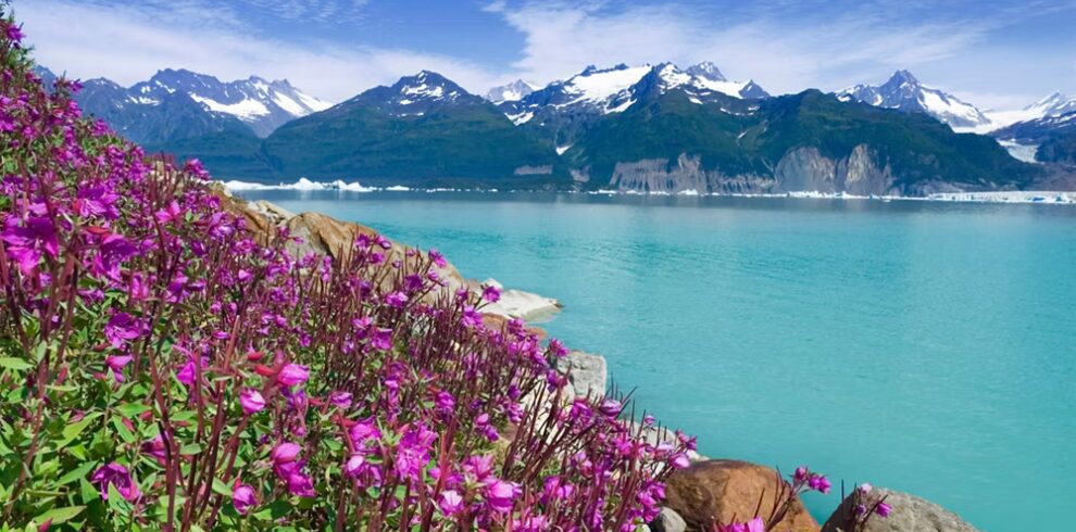 Alaska Fjords & Inside Passage with Viking