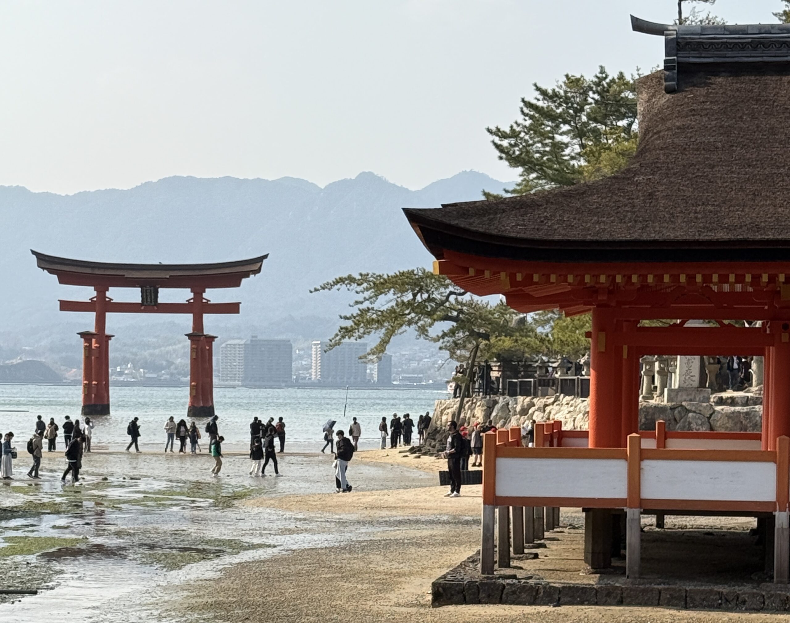 itsukushima - Best Travel and Cruise New Zealand itsukushima